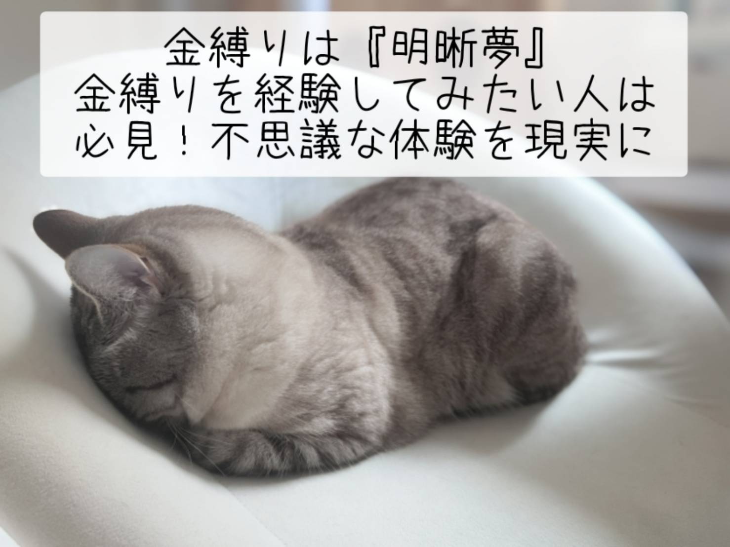 金縛りは『明晰夢』で体験出来ます。金縛りを経験してみたい人は必見！不思議な体験を現実に