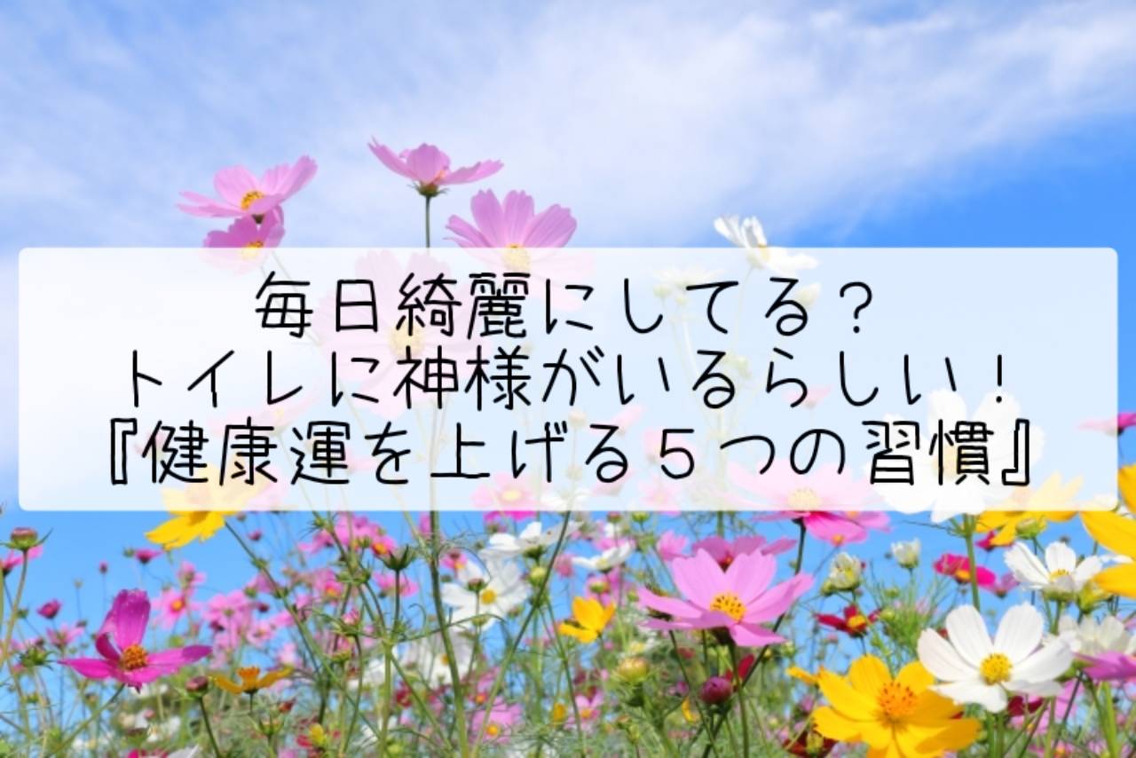 毎日綺麗にしてる？トイレには本当に神様がいるらしいよ！『健康運を上げる為の５つの習慣』